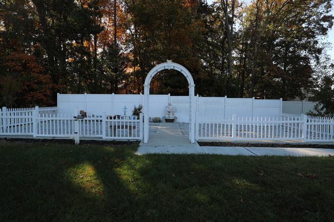 Baby Section 2